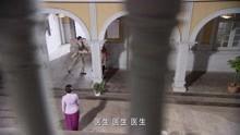 九丹在线观看,揭秘神秘九丹世界的奇幻之旅  第2张