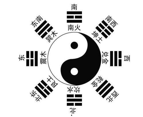 社会八卦最新爆料视频大全,揭秘明星私生活幕后真相  第2张