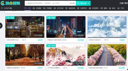 爆料类型的视频素材,视频素材背后的惊人真相  第3张