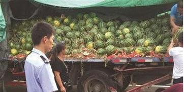 甘谷网红吃瓜事件真相揭秘,揭秘背后真相与争议  第3张