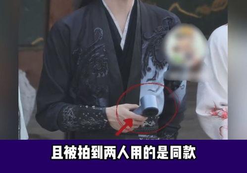 王大锤爆料白鹿视频大全,白鹿视频大全背后的精彩瞬间  第3张