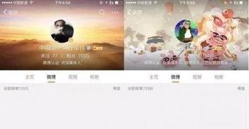 娱乐每日爆料账号,每日爆料账号独家揭秘，明星幕后故事大公开！  第3张