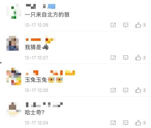 怎么找央视新闻爆料呢视频,一键掌握新闻线索  第3张