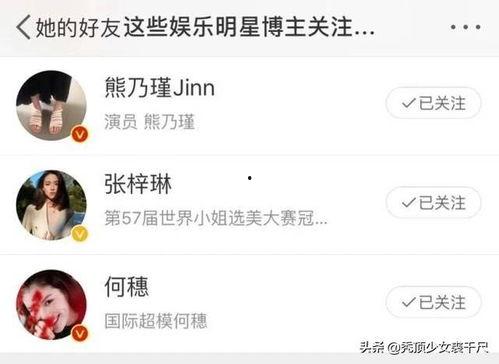 时尚博主爆料视频,潮流趋势背后的秘密  第2张