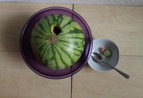 国外新瓜最新爆料,最新爆料震惊全球  第3张